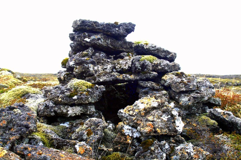 Refagildra