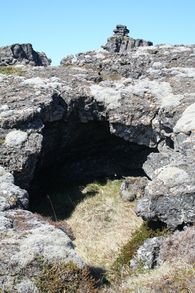 Magnúsardys