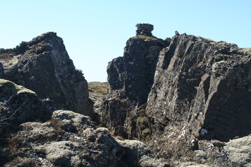 Magnúsardys