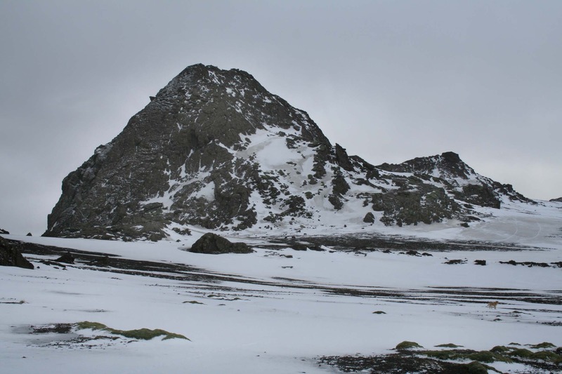 Miðdegishnúkur