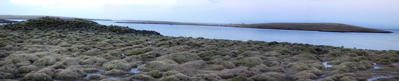 Niðurkot - Þerney fjær