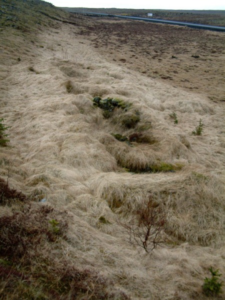 Njarðvíkursel