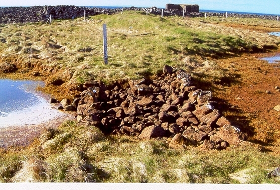 Sjávargata