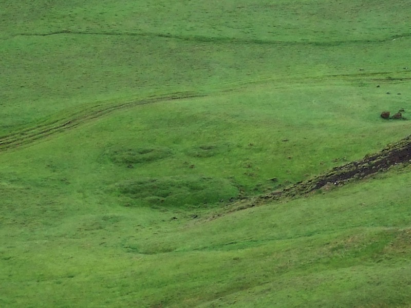 Selsvellir-92