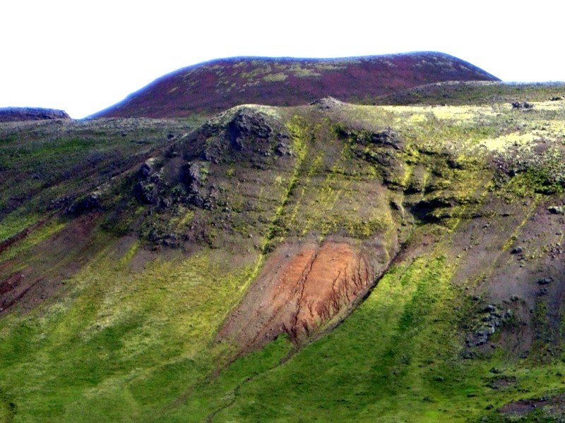Tjarnahnuksgigur-2