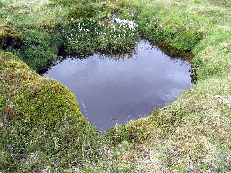 Ottarsstadasel-221