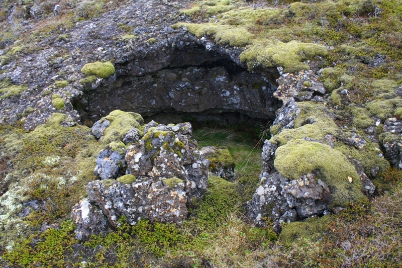 Skjól
