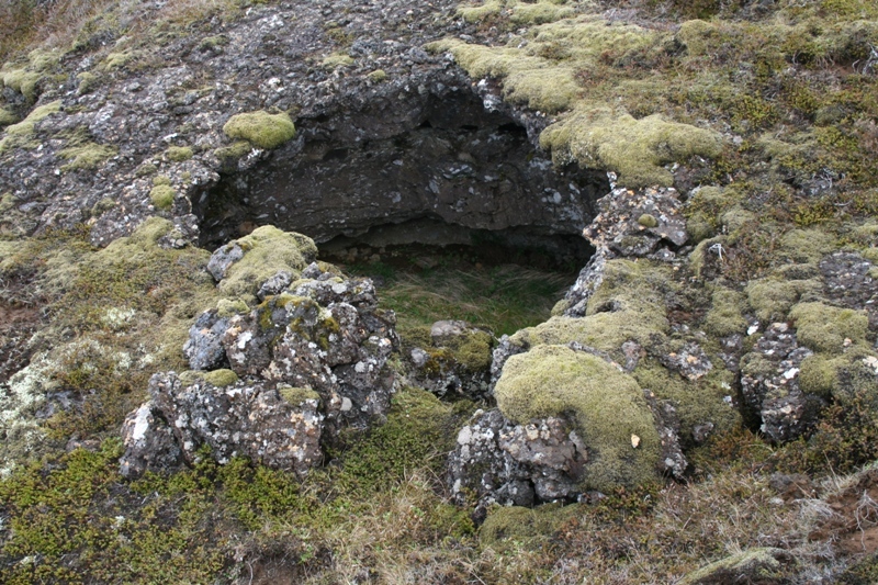 Skjól