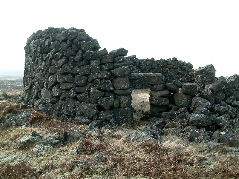 Petursborg-21