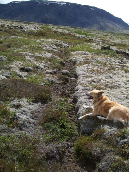 Prestastígur í Kræklum Prestastigur-36