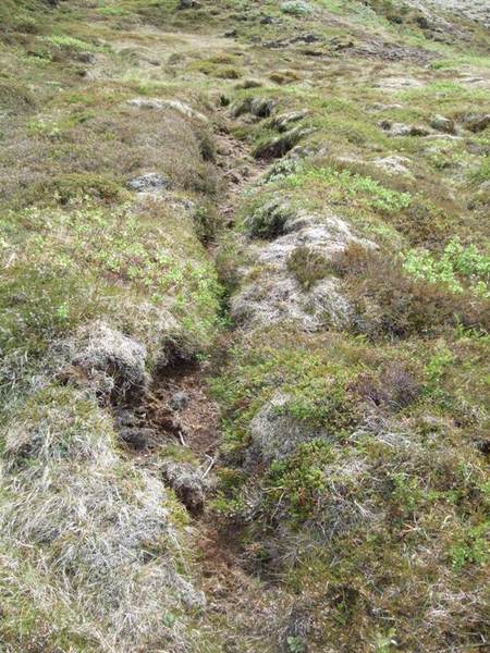 Prestastígur í Kræklum Prestastigur-35
