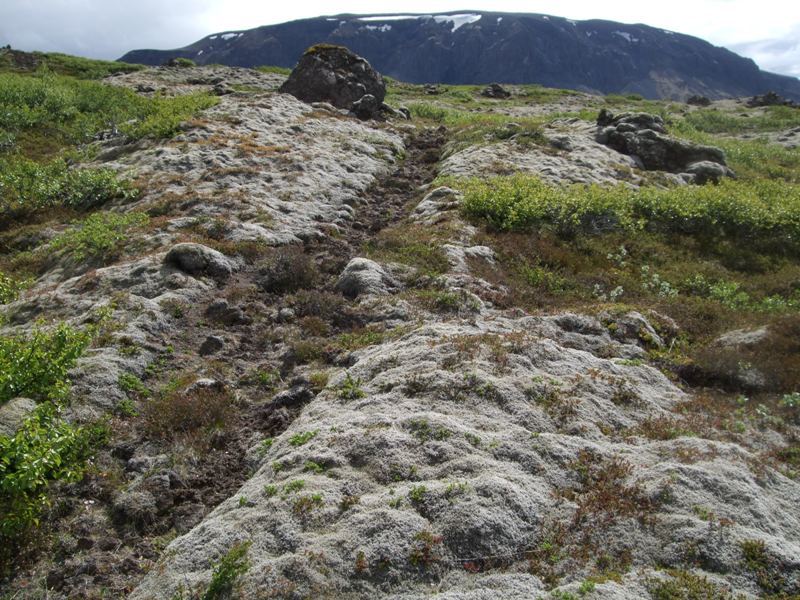 Prestastígur við Hlíðargjá Prestastigur-33