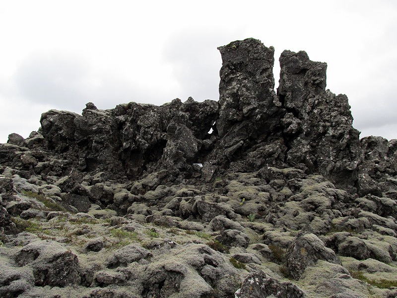 Storhofdastigur-221