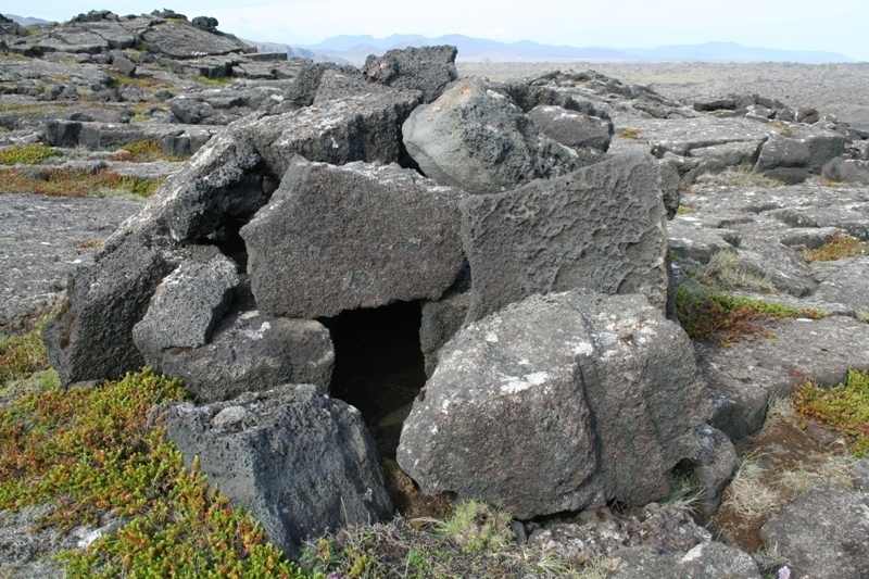 Refagildra