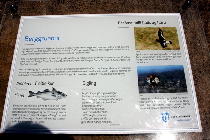 Reykjanesbaer-18