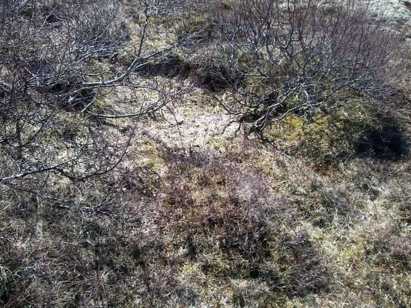Rodolfsstadir-2