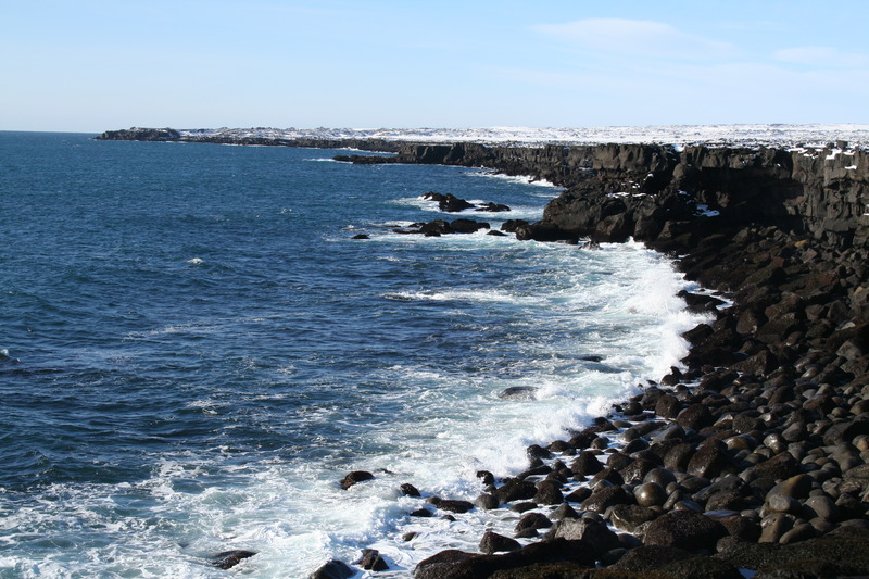 Seljabót