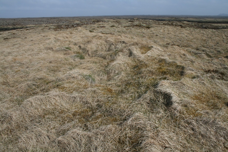 Seljavogssel II