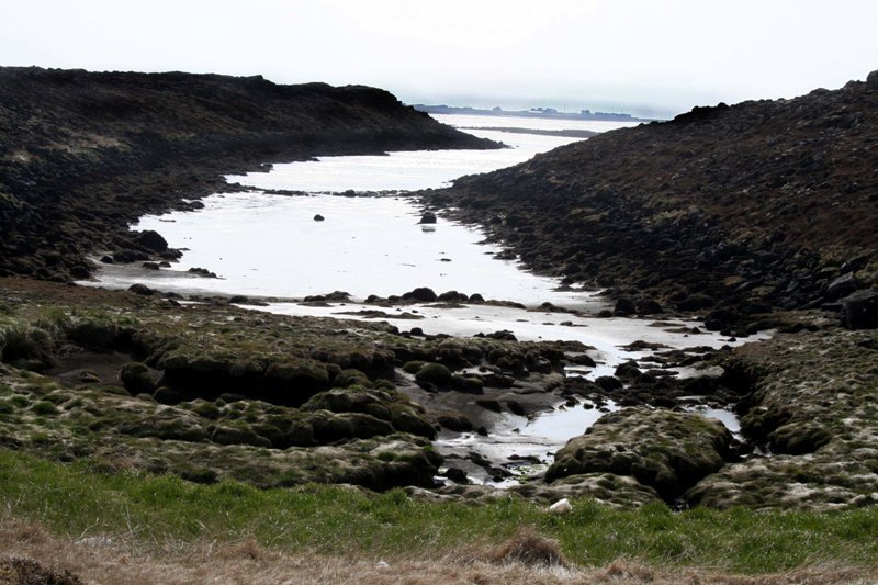 Seljavogur