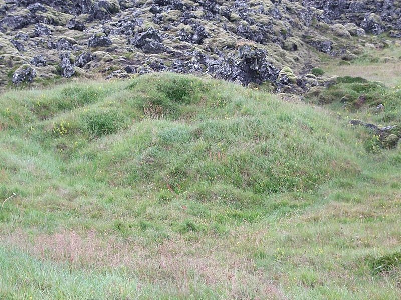Baðsvallarselin Selskogur-221