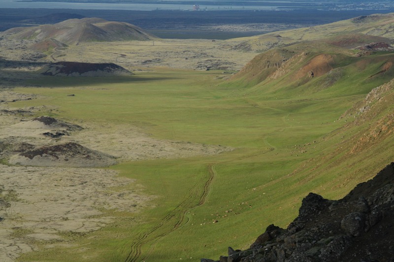 Selsvellir-901