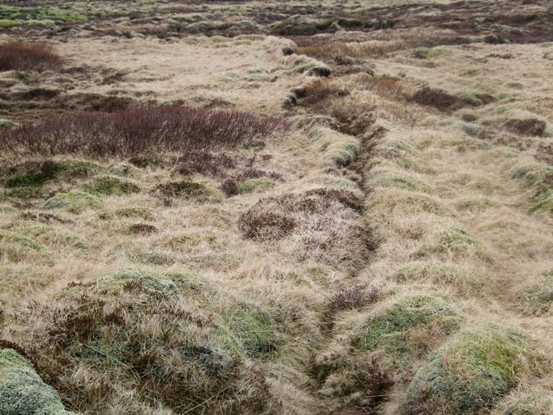 Selvogsgata um Selvogsheiði Selvogsgata-555