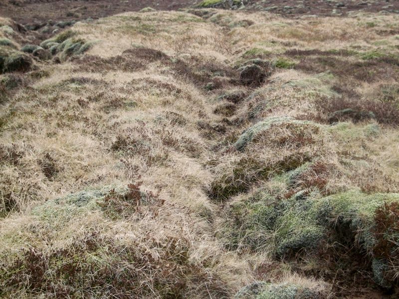 Selvogsgata um Selvogsheiði Selvogsgata-556
