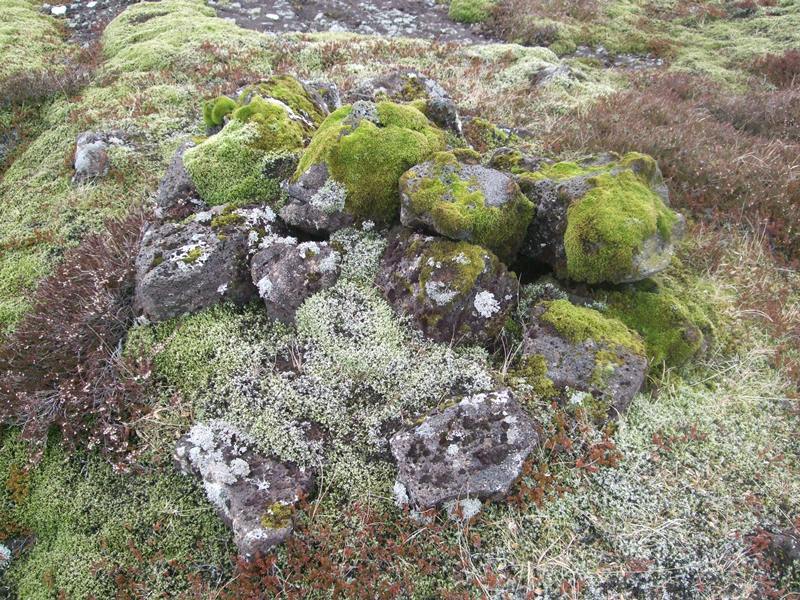 Vörðubrot við Selvogsgötuna Selvogsgata-558