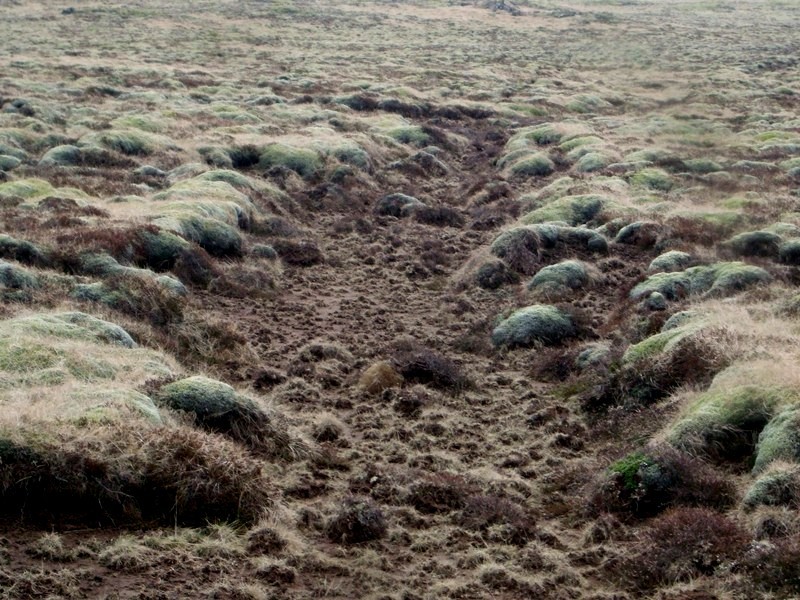 Selvogsgata um Selvogsheiði Selvogsgata-559