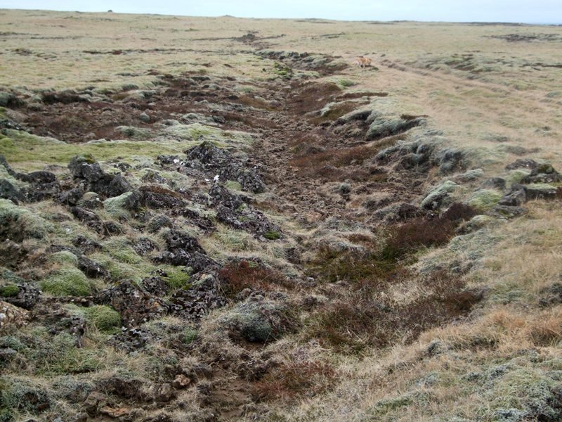 Selvogsgata um Selvogsheiði - að Strandarhæð Selvogsgata-560