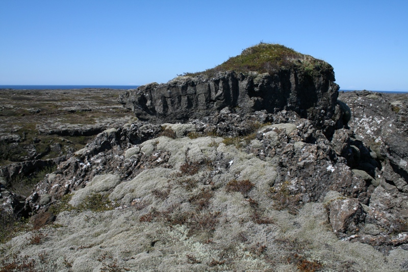 Sjónarhóll