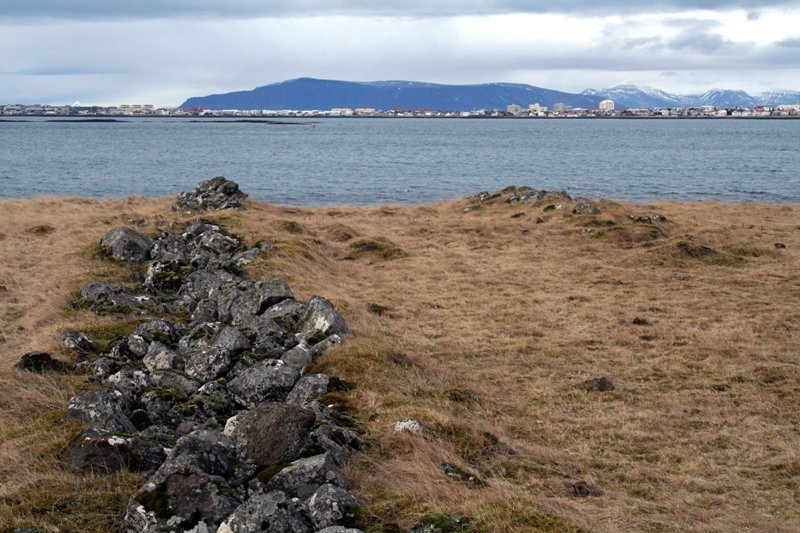 Skólanaust (6) Skólanaust