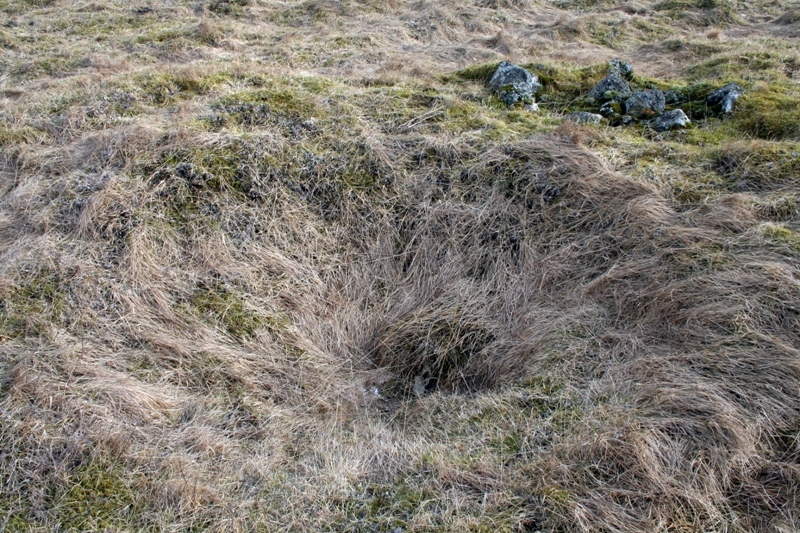 Brunnur við Skannsinns, innan garðs Brunnur við Skansinn