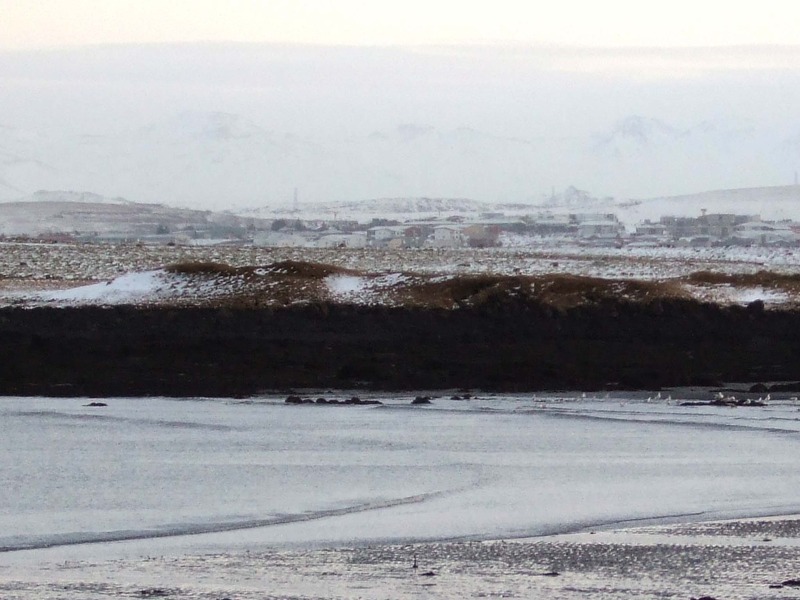 Horft á Skansinn yfir Dugguós - að fundarstaðnum