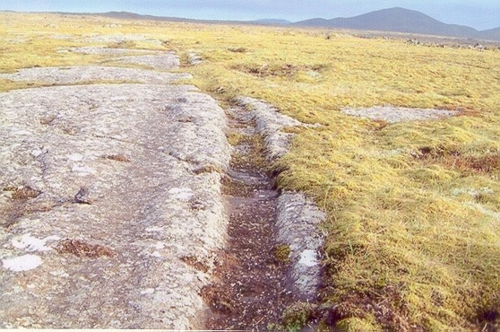 Skógfellavegur