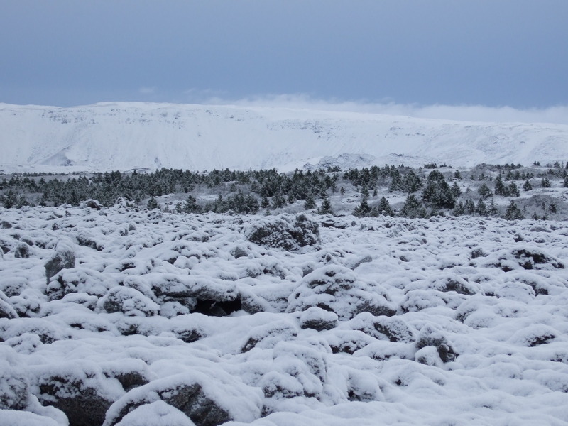 Hraun, dalir, skógar og fjöll