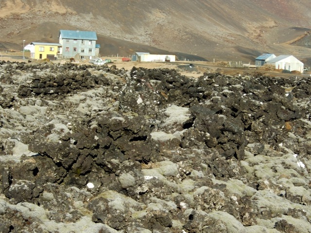 Fiskigarðar