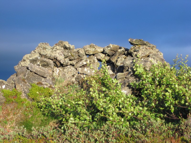 Smalaskalahaed