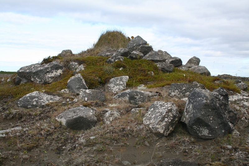 Fiskbirgi við Stafnes - eitt af 30-40 Fiskbirgi