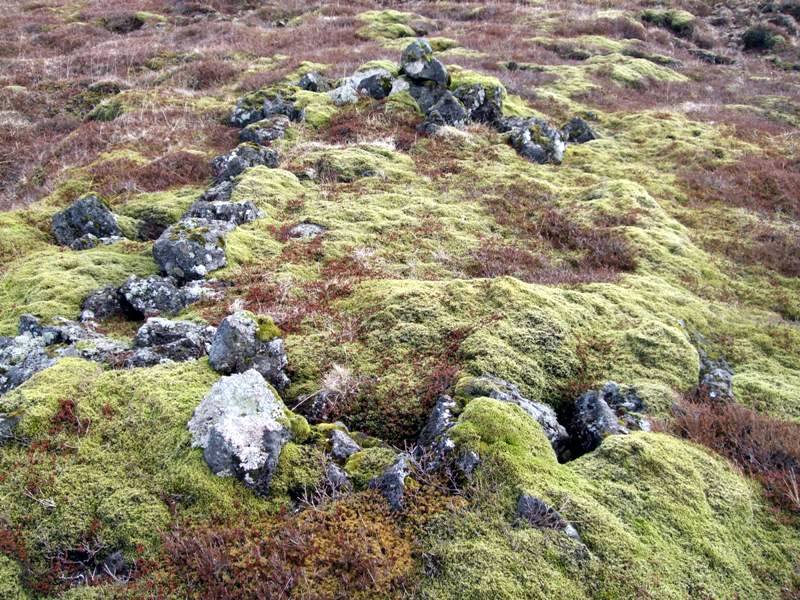 Stekkurinn undir Fjallsenda Stekkur undir Fjallsenda