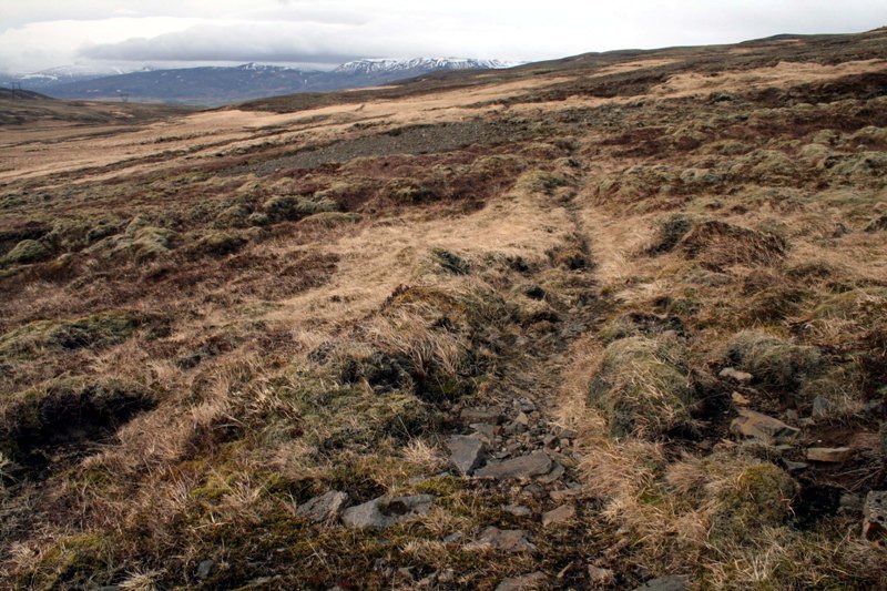 Svínaskarðsvegur