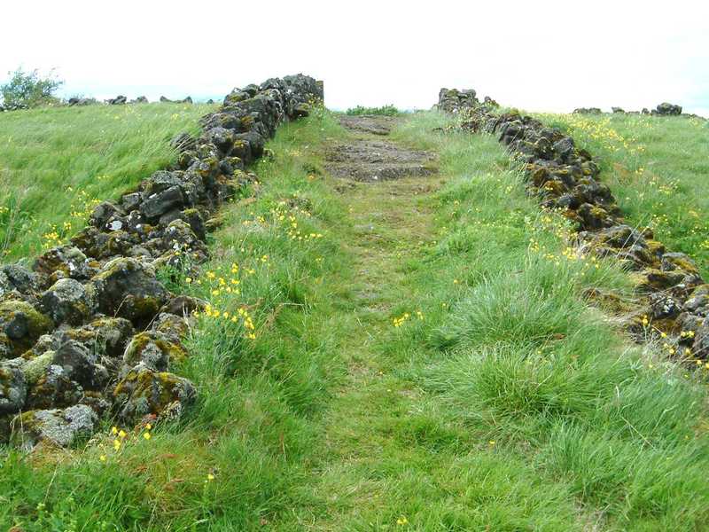 Heimtröðin að Skógarkoti