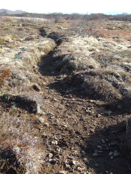 Vatnskotsgata