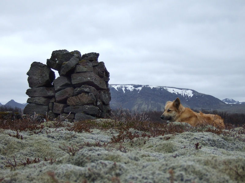 Skyggnisvarða austan Hrauntúns
