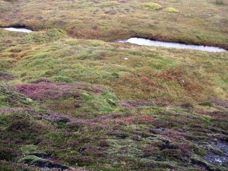 Thingvellir-146