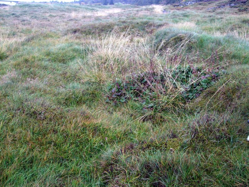 Thingvellir-150