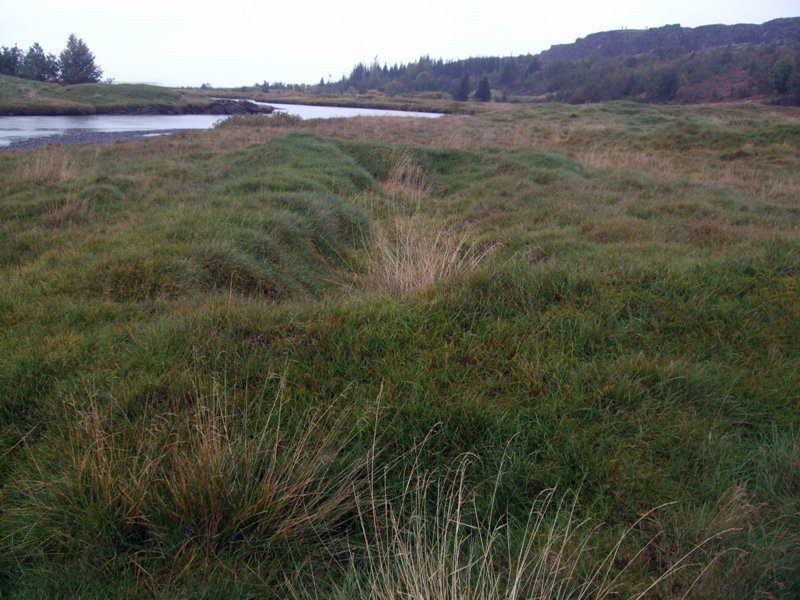 Thingvellir-149