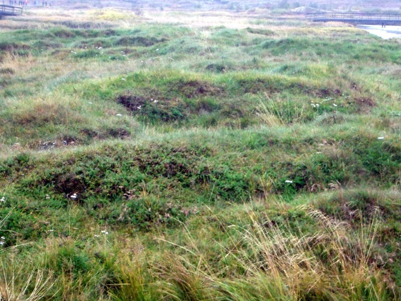 Búðartóft á Þingvöllum Thingvellir-147