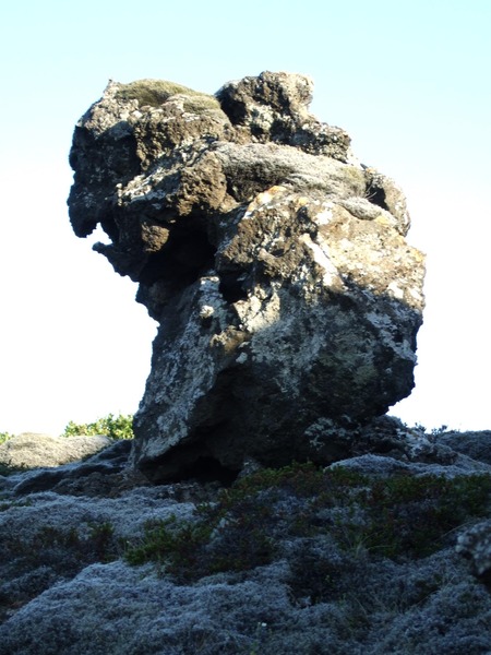 Yfirgefinn hraunkarl á Reykjanesskaganum...