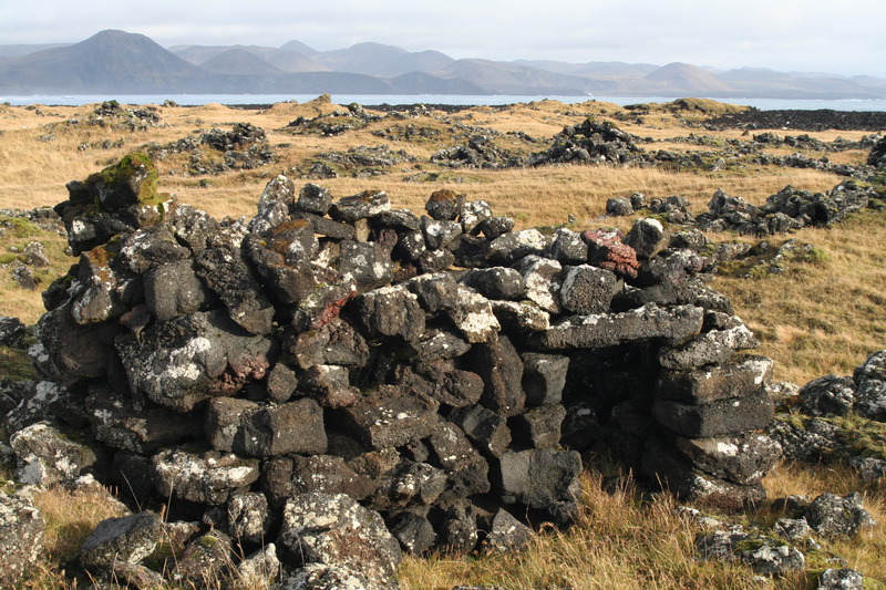 Thorkotlustaðanes-305